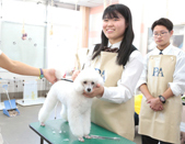 日本ウェルネス高等学校 レザミ 東京 動物 ペット